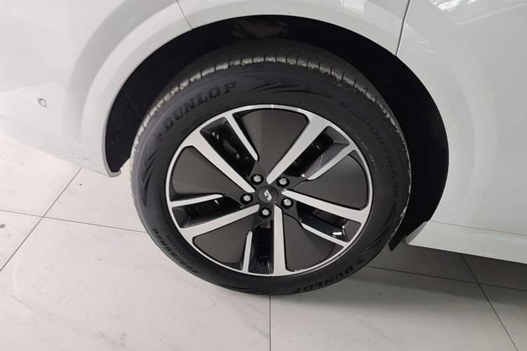 Used Li Auto L6 2024 Max Exterior 5