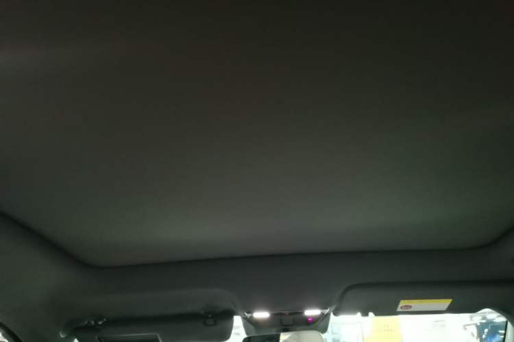 Used Li Auto L6 2024 Pro Model Headliner