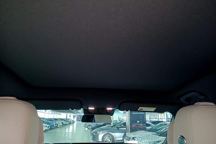 Used Li Auto L6 2024 Pro Model Headliner