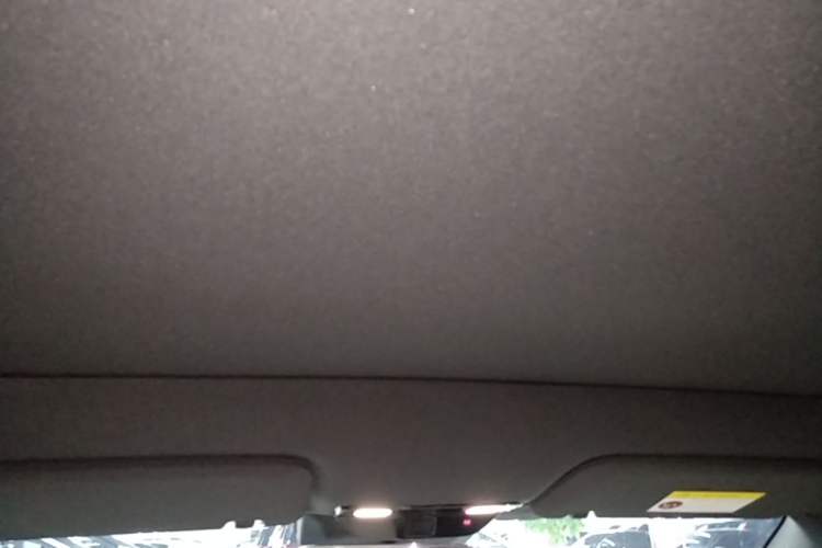 Used Li Auto L6 2024 Pro Model Headliner