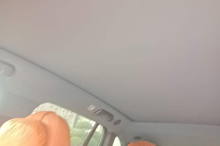 Used Li Auto L6 2024 Pro Model Headliner