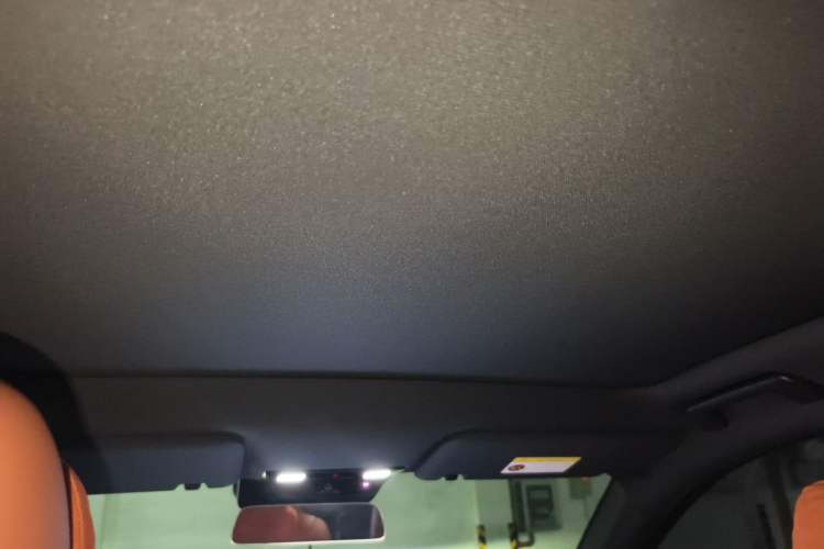 Used Li Auto L6 2024 Max Headliner
