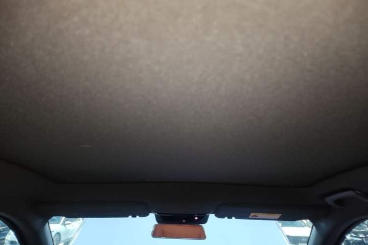Used Li Auto L6 2024 Pro Model Headliner