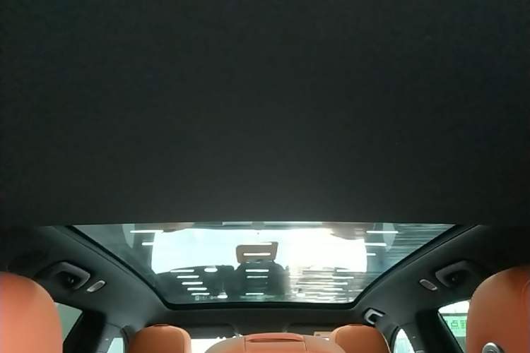 Used Li Auto L6 2024 Pro Model Headliner