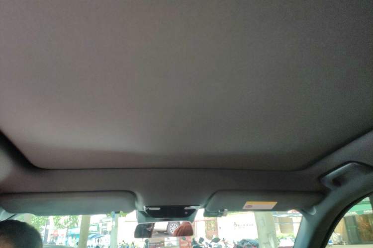 Used Li Auto L6 2024 Pro Model Headliner
