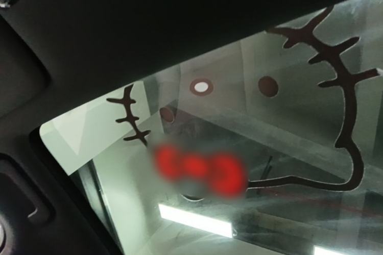 Used Li Auto L6 2024 Pro Model Headliner