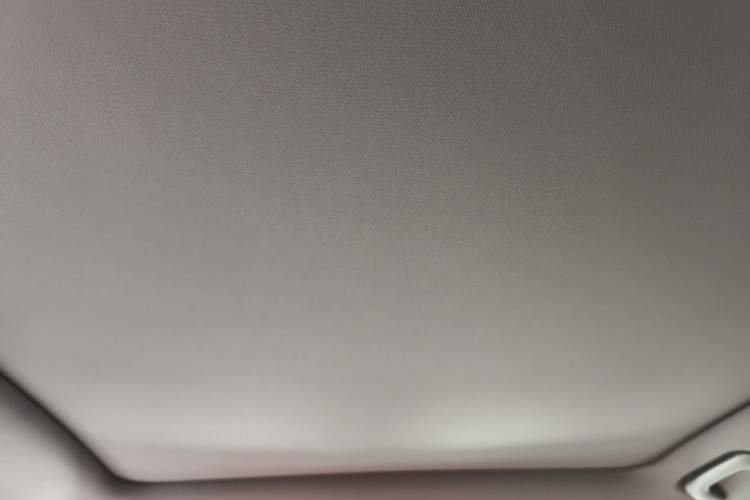 Used Li Auto L6 2024 Pro Model Headliner