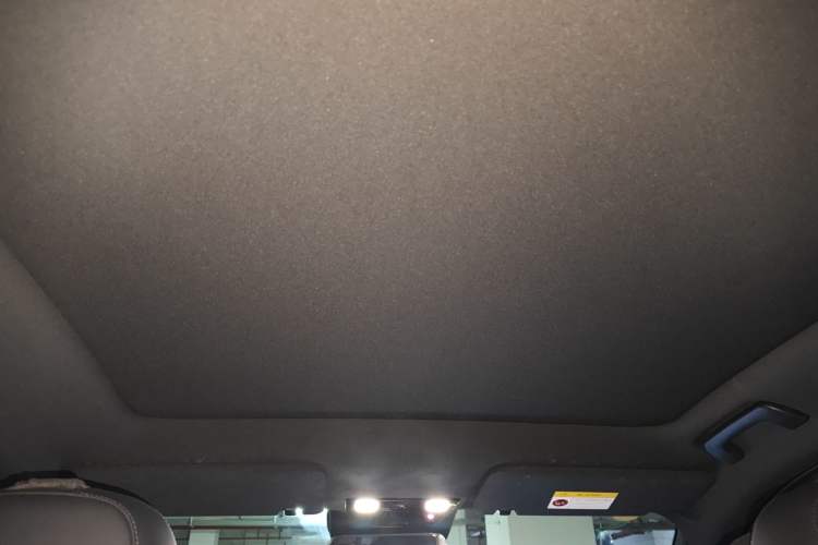 Used Li Auto L6 2024 Pro Model Headliner
