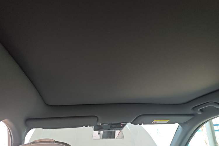 Used Li Auto L6 2024 Pro Model Headliner