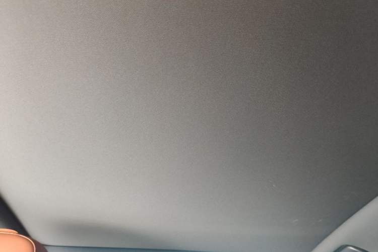 Used Li Auto L6 2024 Pro Model Headliner