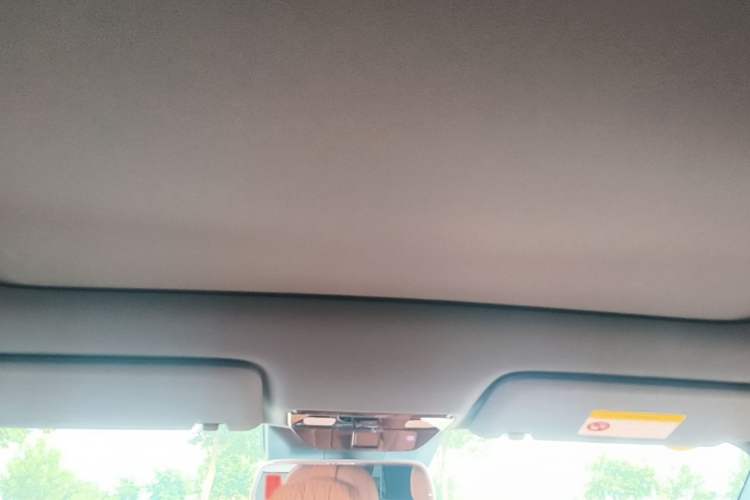 Used Li Auto L6 2024 Pro Model Headliner