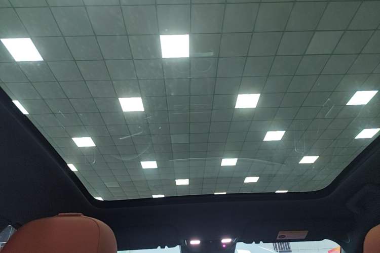 Used Li Auto L6 2024 Pro Model Headliner