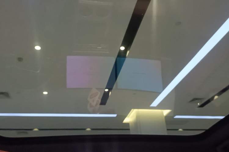Used Li Auto L6 2024 Pro Model Headliner