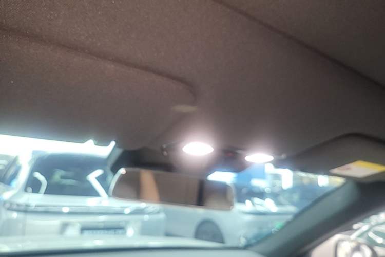 Used Li Auto L6 2024 Max Headliner