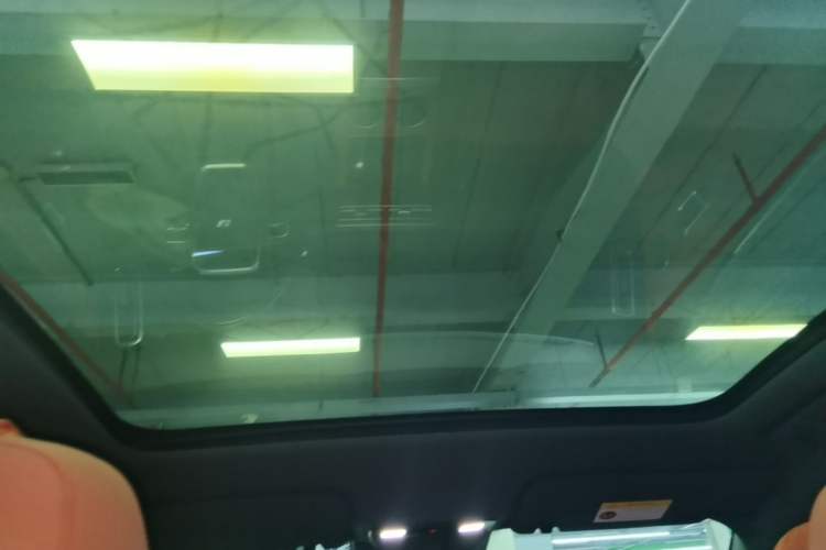 Used Li Auto L6 2024 Pro Model Headliner
