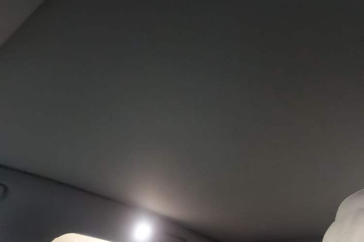 Used Li Auto L6 2024 Max Headliner