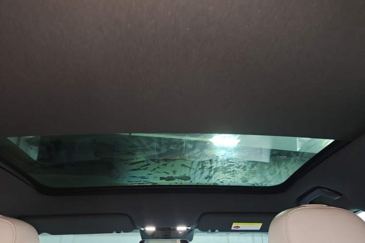 Used Li Auto L6 2024 Pro Model Headliner