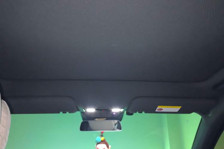 Used Li Auto L6 2024 Pro Model Headliner