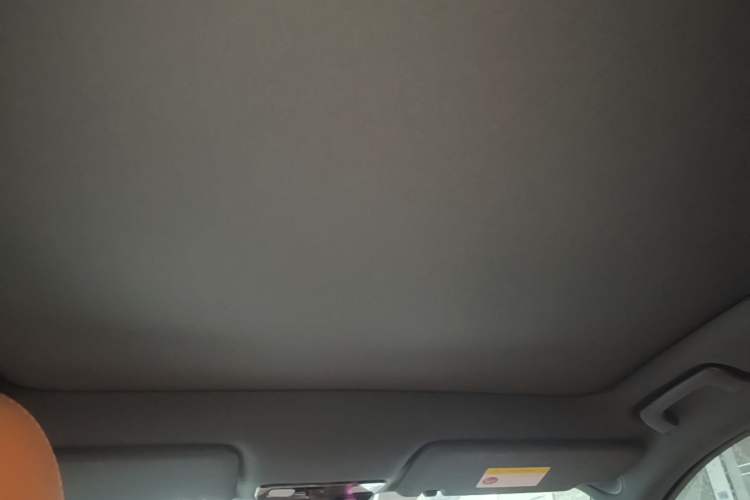 Used Li Auto L6 2024 Pro Model Headliner