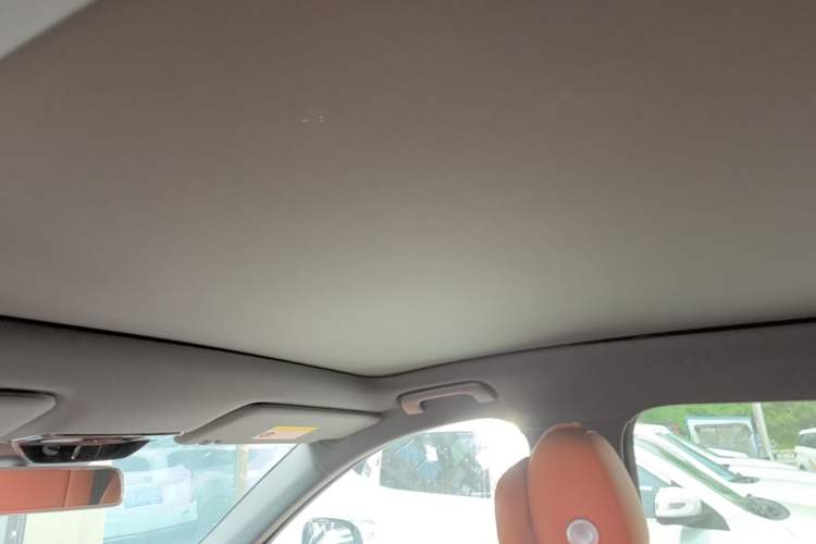 Used Li Auto L6 2024 Pro Model Headliner