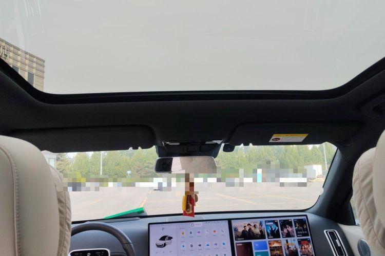 Used Li Auto L6 2024 Pro Model Headliner