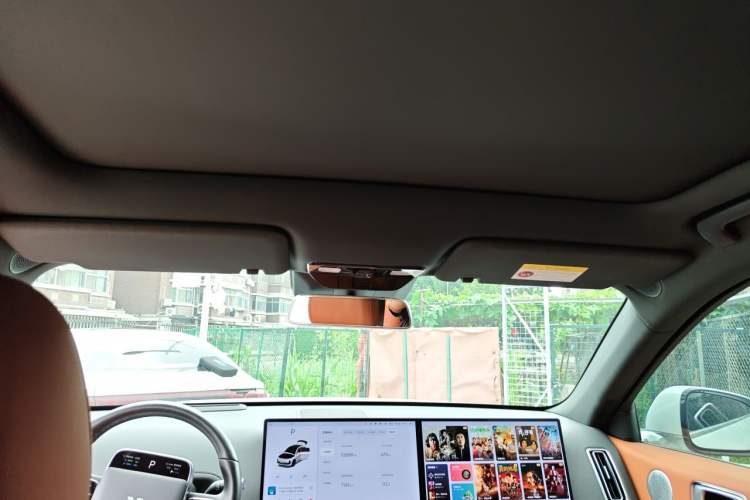Used Li Auto L6 2024 Pro Model Headliner