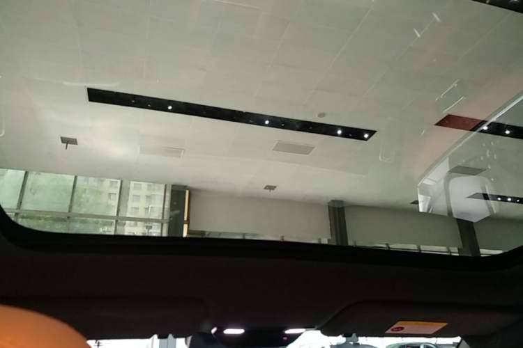 Used Li Auto L6 2024 Pro Model Headliner