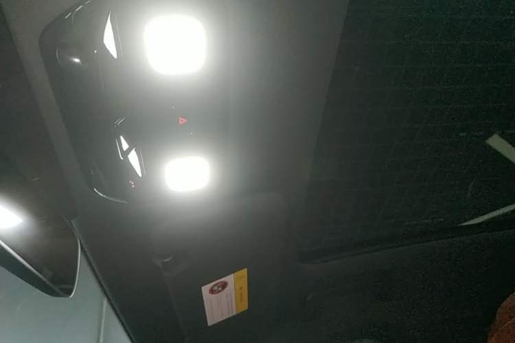 Used Li Auto L6 2024 Pro Model Headliner