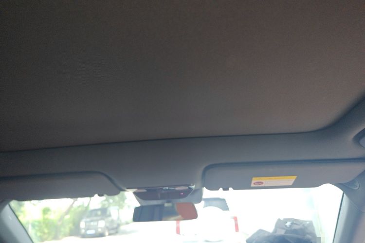 Used Li Auto L6 2024 Pro Model Headliner