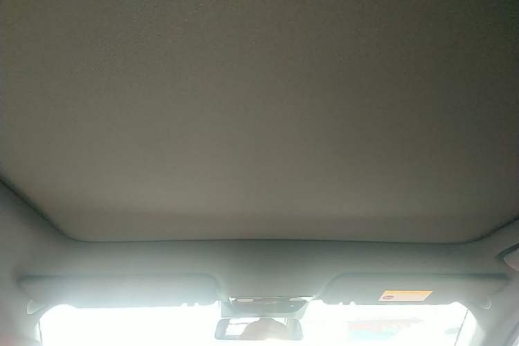 Used Li Auto L6 2024 Pro Model Headliner