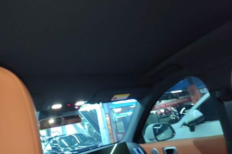 Used Li Auto L6 2024 Max Headliner
