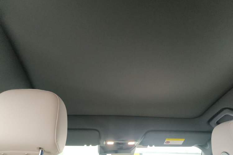 Used Li Auto L6 2024 Pro Model Headliner