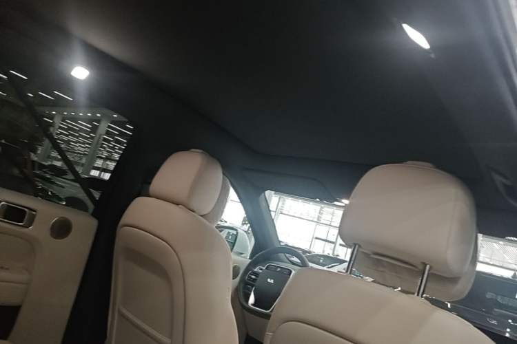 Used Li Auto L6 2024 Pro Model Headliner
