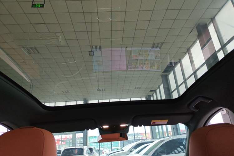 Used Li Auto L6 2024 Pro Model Headliner