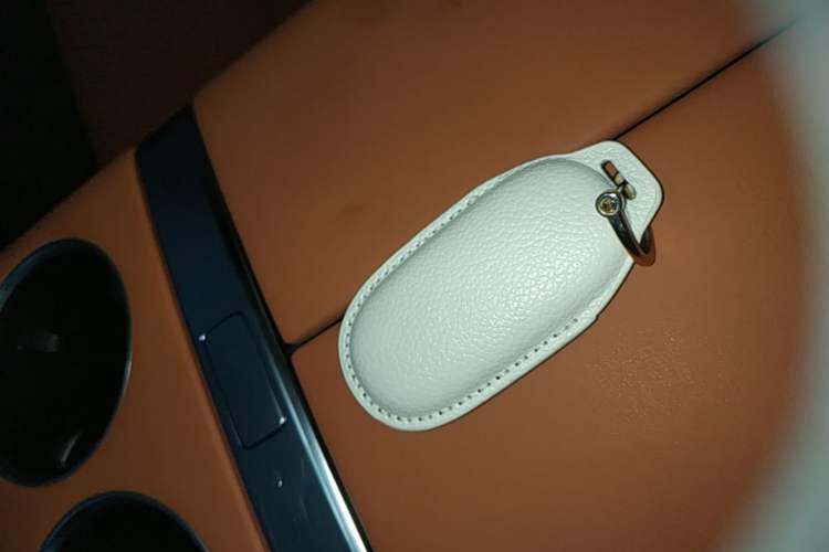 Used Li Auto L6 2024 Pro Model Interior 1