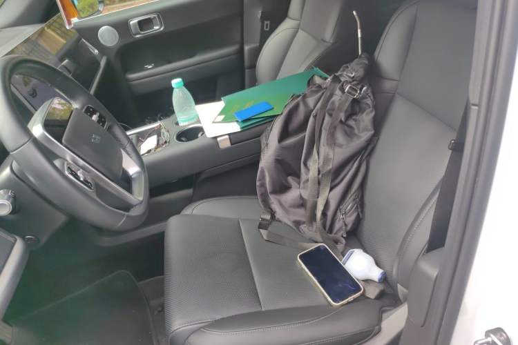Used Li Auto L6 2024 Pro Model Left Front Seat