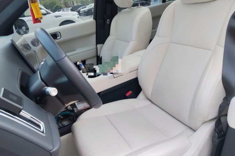 Used Li Auto L6 2024 Pro Model Left Front Seat