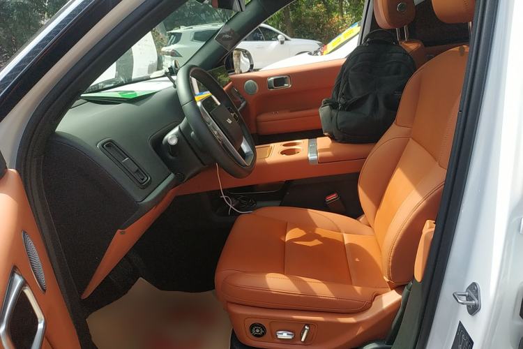 Used Li Auto L6 2024 Pro Model Left Front Seat