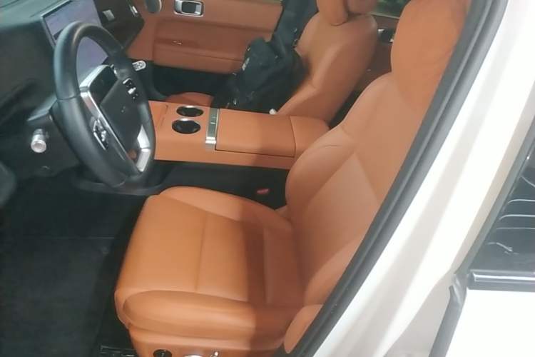 Used Li Auto L6 2024 Pro Model Left Front Seat
