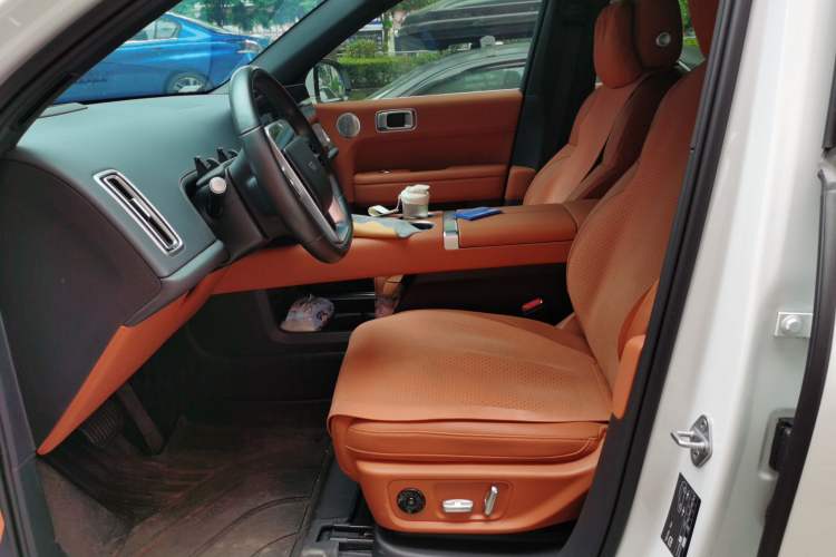 Used Li Auto L6 2024 Pro Model Left Front Seat