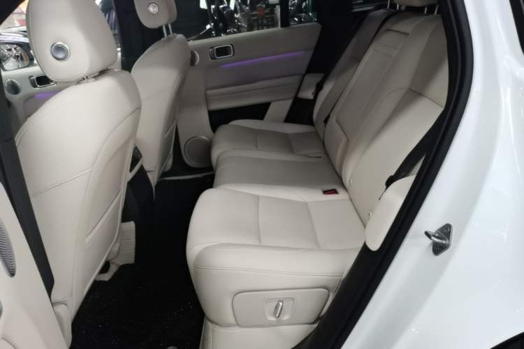 Used Li Auto L6 2024 Pro Model Left Rear Seat