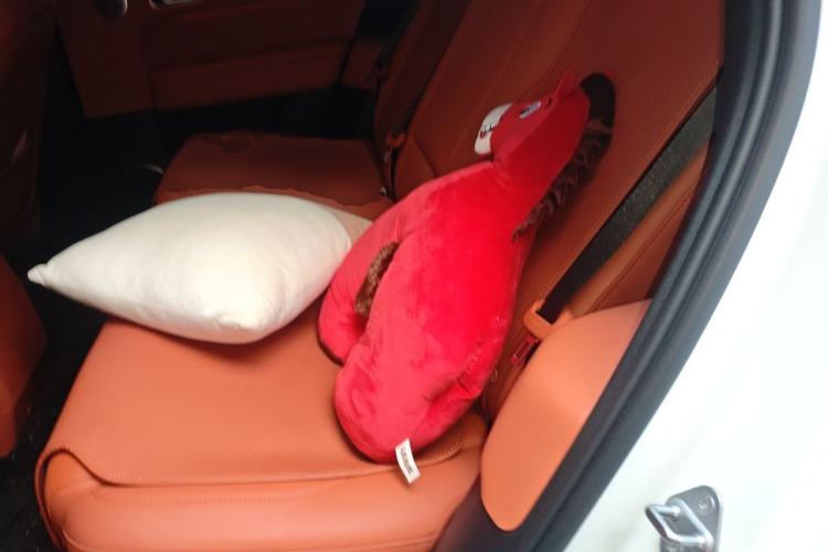 Used Li Auto L6 2024 Max Left Rear Seat