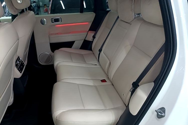 Used Li Auto L6 2024 Pro Model Left Rear Seat
