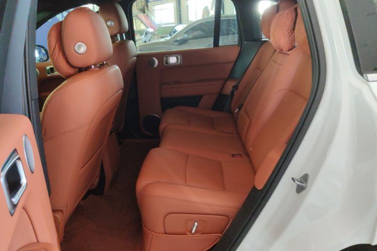 Used Li Auto L6 2024 Max Left Rear Seat