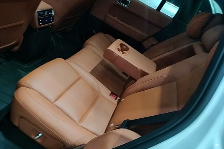 Used Li Auto L6 2024 Max Left Rear Seat