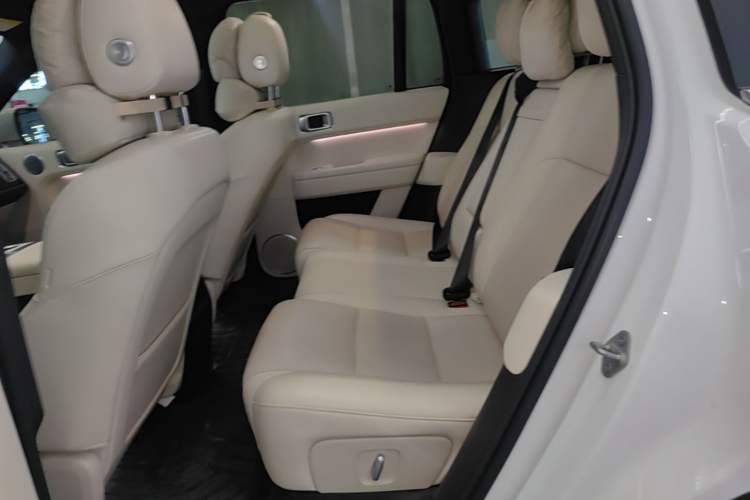 Used Li Auto L6 2024 Pro Model Left Rear Seat