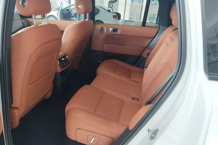 Used Li Auto L6 2024 Pro Model Left Rear Seat