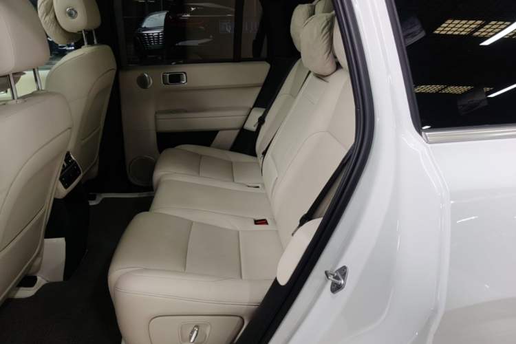Used Li Auto L6 2024 Pro Model Left Rear Seat