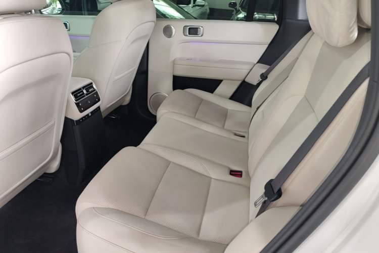 Used Li Auto L6 2024 Max Left Rear Seat