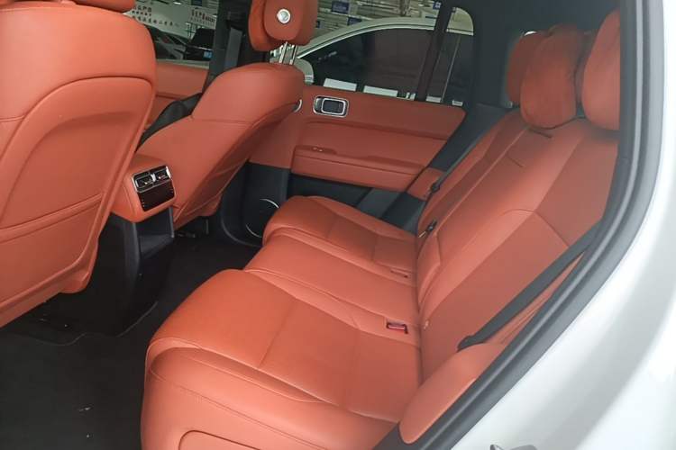 Used Li Auto L6 2024 Pro Model Left Rear Seat